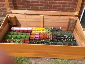 Cold Frames Extend Season