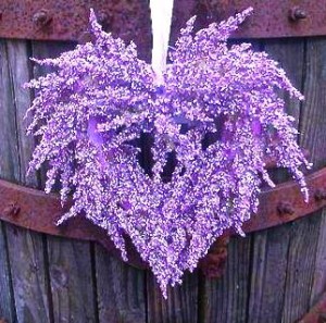 lavender heart