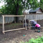 Planting Squash