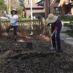 Soil Preparation in North Garden