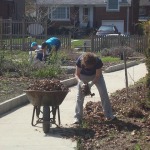 Soil Preparation in South Garden