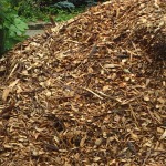 Wood chips donated by the city