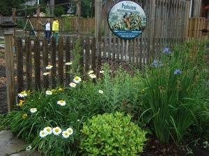 Our front garden welcomes you .