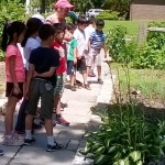 Looking at the Hostas!