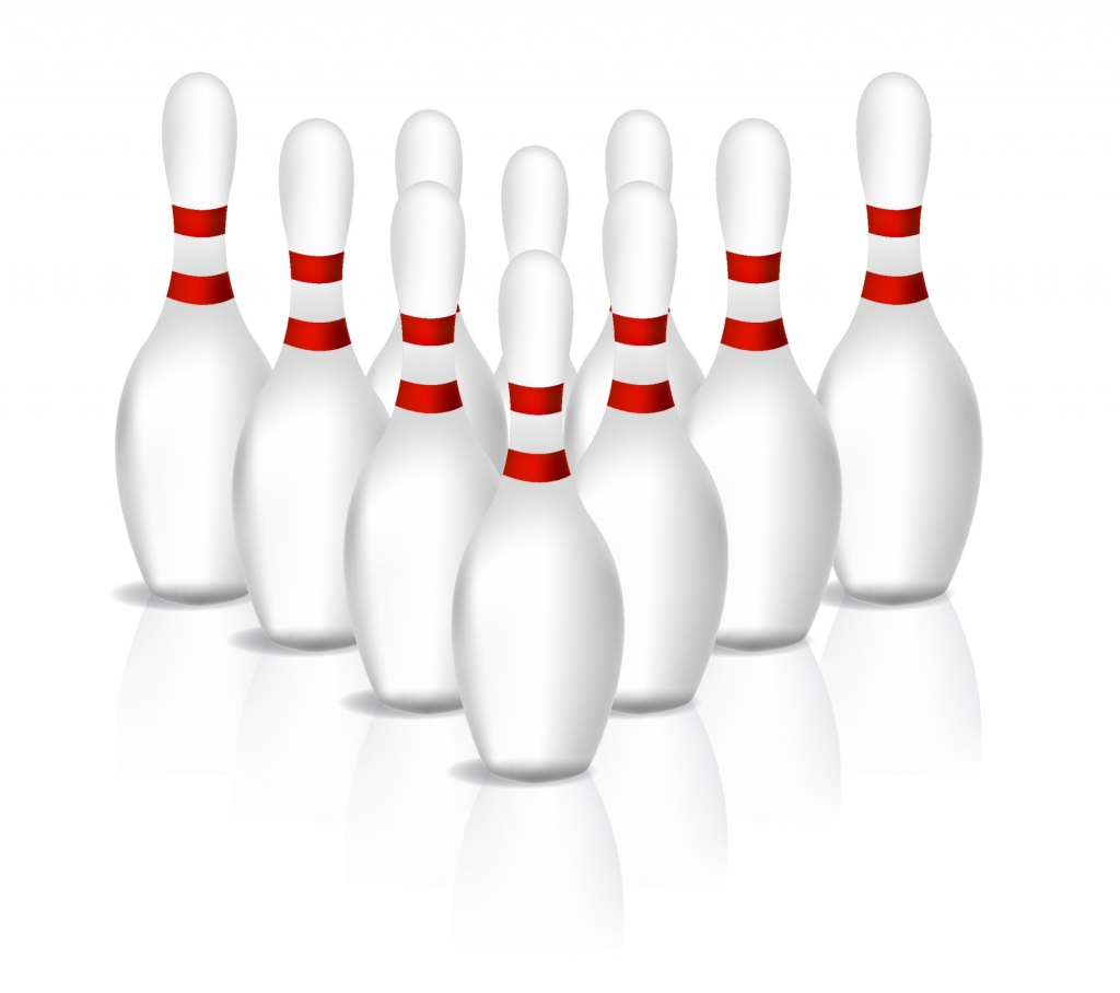 Let’s Bowl! February 20, 2016 | PARKVIEW NEIGHBOURHOOD GARDEN