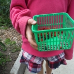 Volunteer holding empty basket