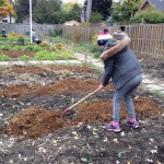 Volunteer clearing patch