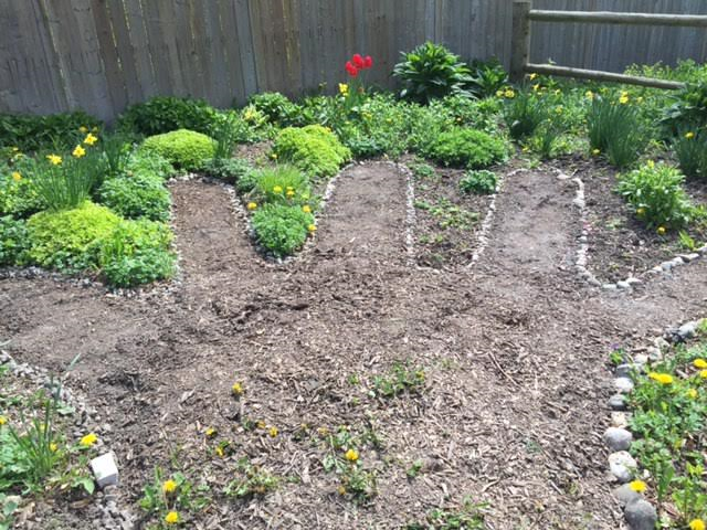 Seedlings awaiting planting