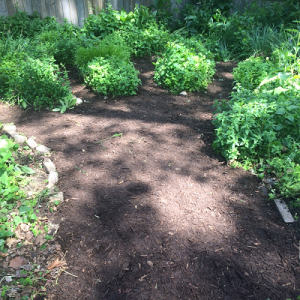 Children's Hand Garden After Restoration