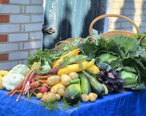 Collection of food being donated