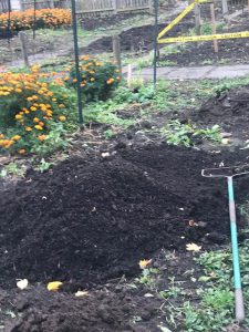 New compost