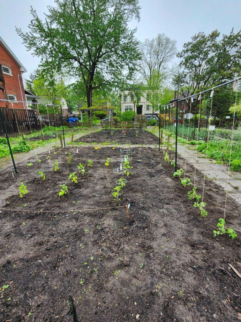 A Planted Garden