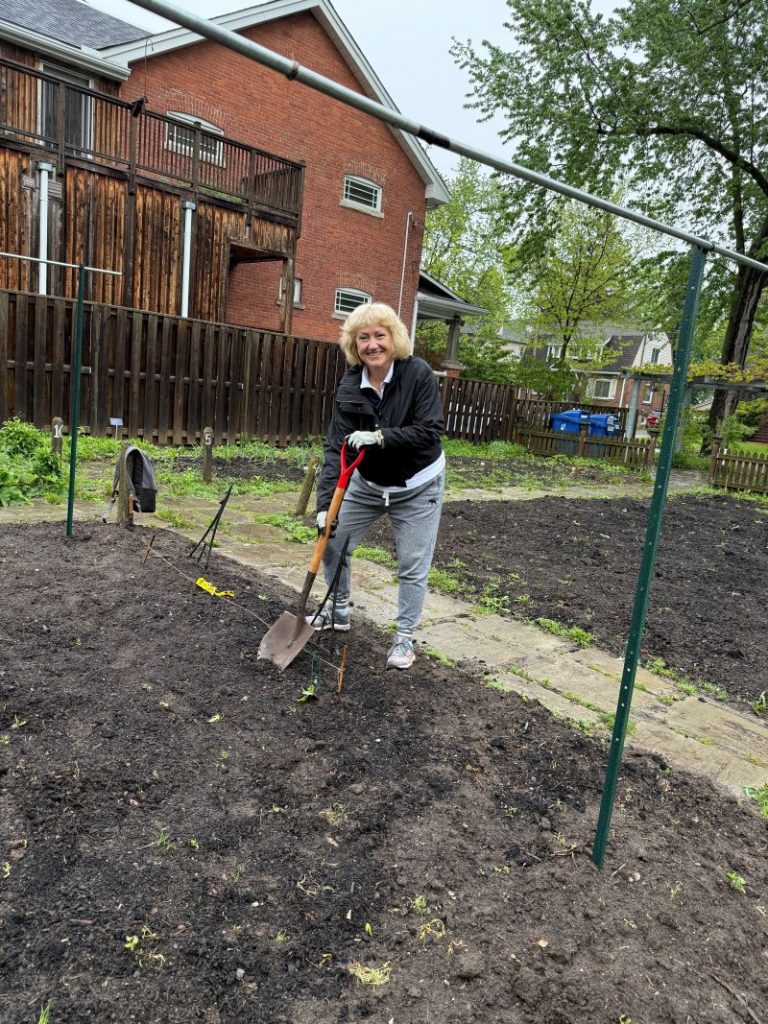 Digging Holes for Tomato Planting